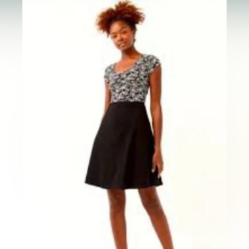 Pact Fit and Flare Cross-back Mini Dress Black and White Size Large